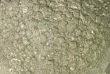 Natural Pyrite Concretion - China #142987-1